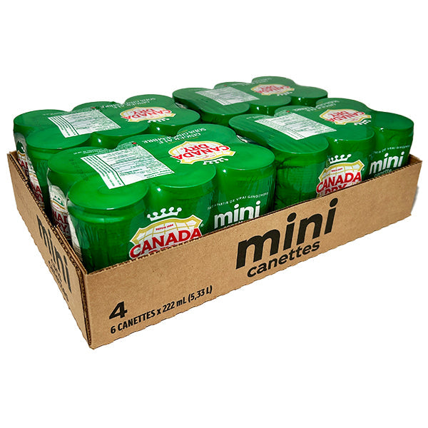 Coca Cola Canada Dry Gingerale 4x6x222 mL