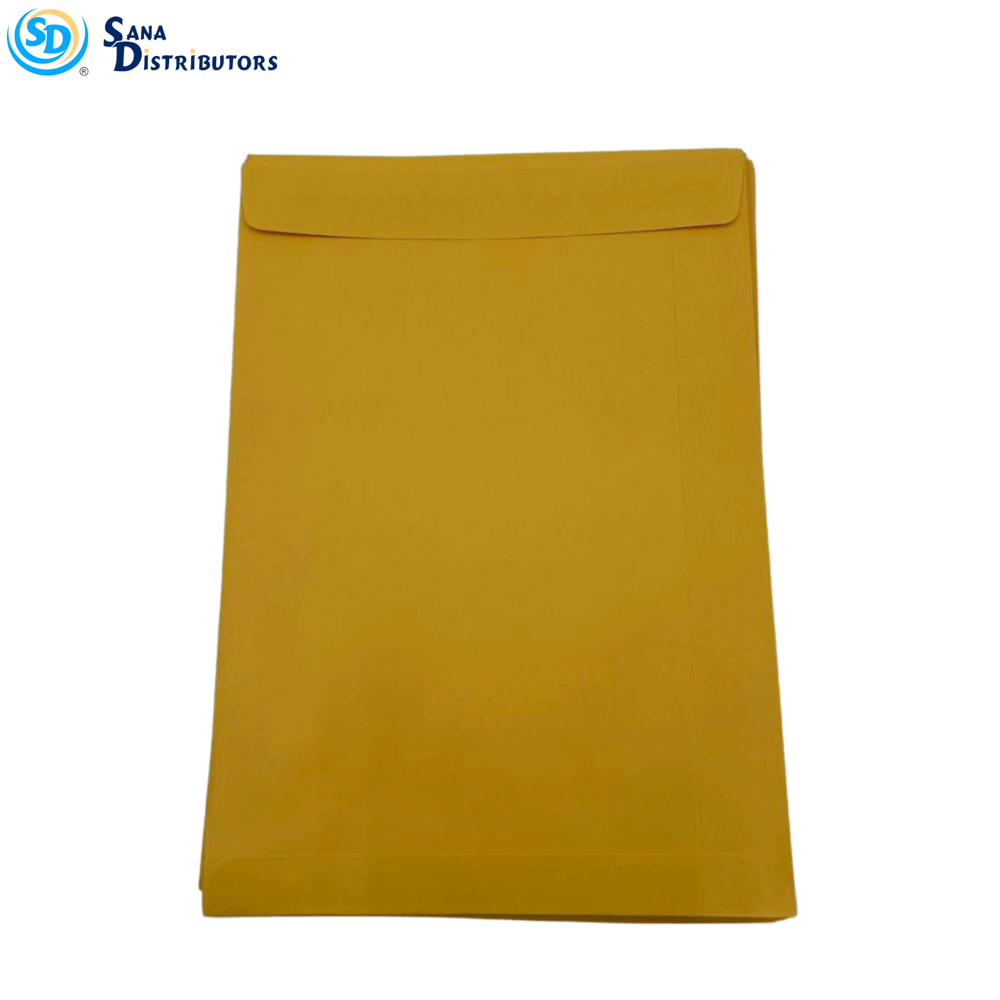 SD Envelope 20 pcs 9''x12.5''