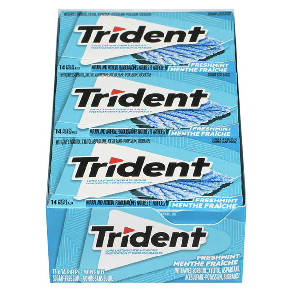 Trident Slab Freshmint 12x14-Pack