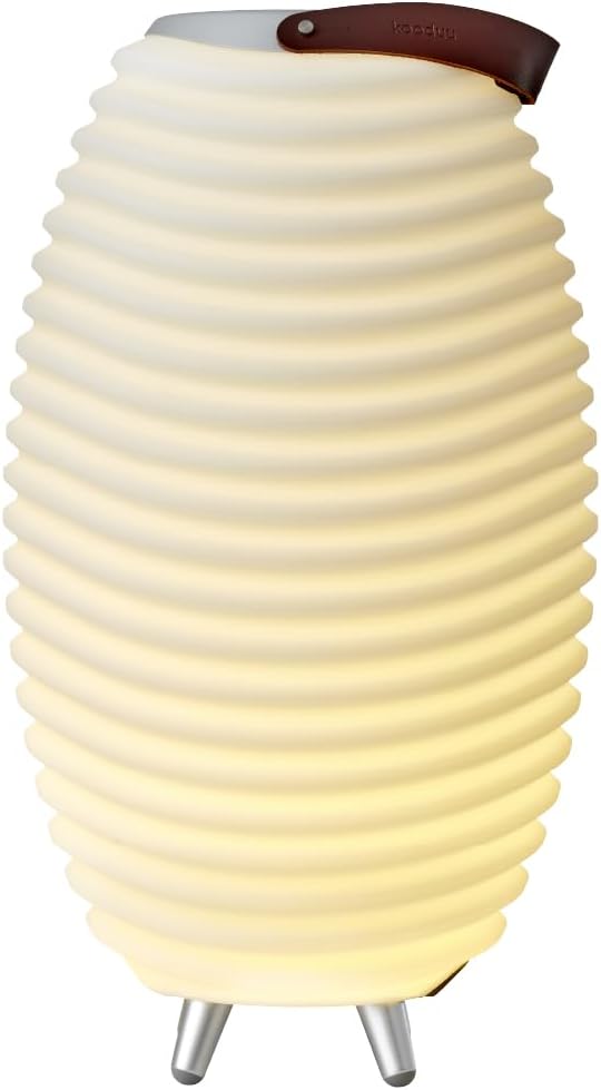 Kooduu Synergy 50 Speaker with LED and Cooler