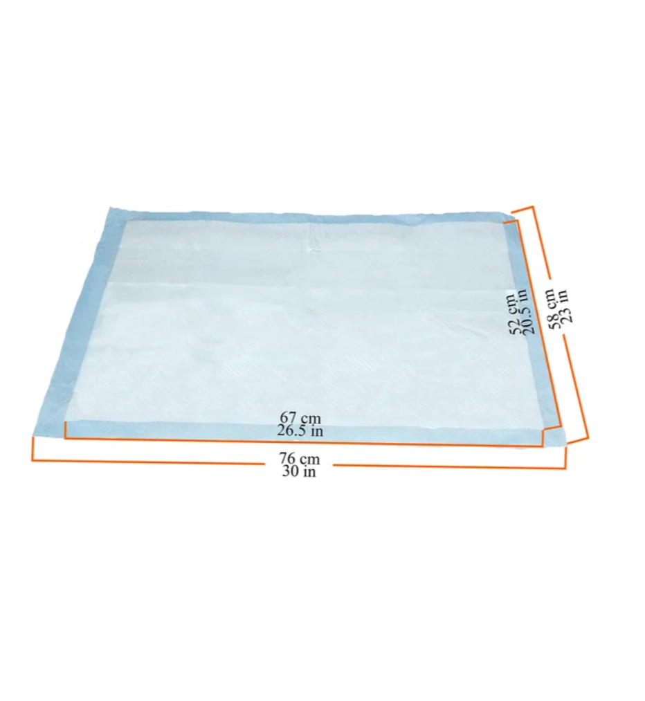 Kirkland Signature Absorbent Multipurpose Pads, 100-count