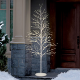 2m (6.5ft) Birch Tree