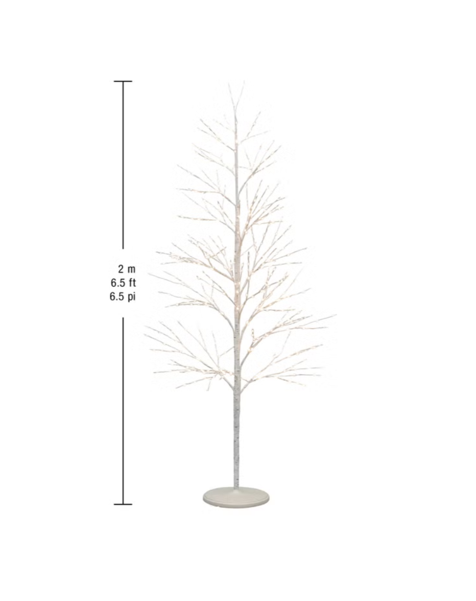 2m (6.5ft) Birch Tree