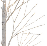 2m (6.5ft) Birch Tree