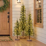 Alpine Trees with LED Lights - Set of 3