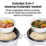 PROCTOR SILEX 37533G 10 cup capacity, rice cooker & food steamer