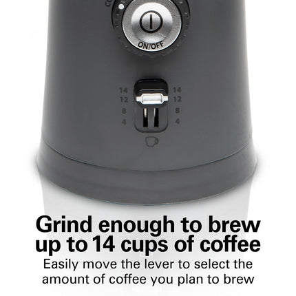 Hamilton Beach 80396C Electric Coffee Grinder for Beans Custom Grind™ Coffee Grinder, Removable Stainless Steel Chamber, Gray