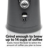 Hamilton Beach 80396C Electric Coffee Grinder for Beans Custom Grind™ Coffee Grinder, Removable Stainless Steel Chamber, Gray