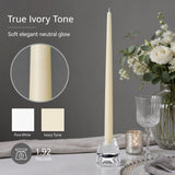 Yummi , Taper Candles - 12 inch - 12 per Pack