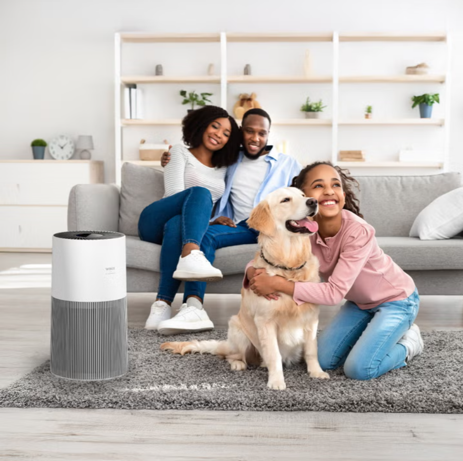 Winix C610 4-Stage Air Purifier with WIFI and PlasmaWave Technology