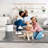 Winix C610 4-Stage Air Purifier with WIFI and PlasmaWave Technology