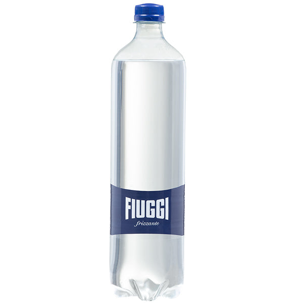 Fiuggi Sparkling Mineral Water Slim Pet 500 mL