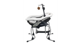 Graco® DuoGlider™ Gliding Swing