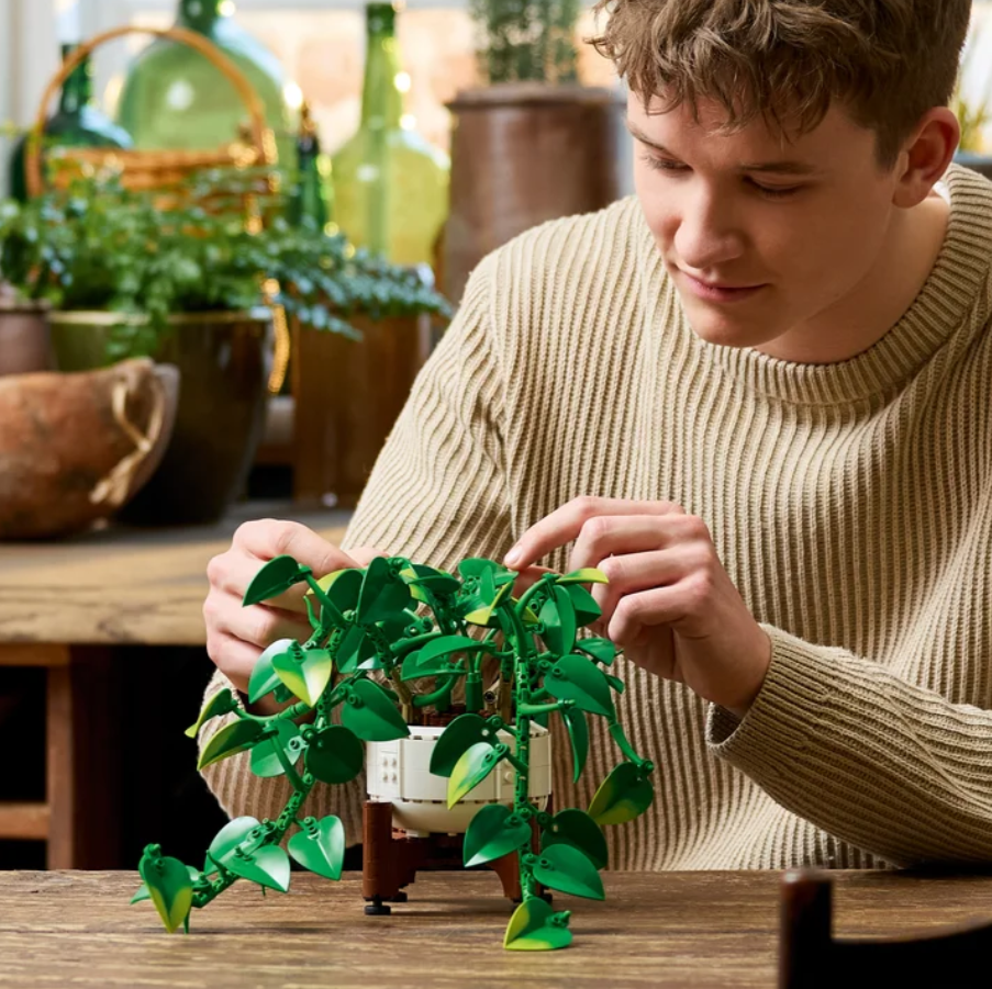 LEGO Botanicals Hanging Golden Pothos 11512