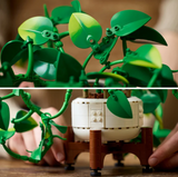 LEGO Botanicals Hanging Golden Pothos 11512