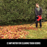 CRAFTSMAN CMEBL7000-CA Leaf Blower/Vacuum and Mulcher, 3 in 1 Wearable Yard Cleaner