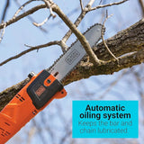 BLACK + DECKER PP610 Corded Pole Saw, 6.5-Amp, 10-Inch- Refurbished with Full Manufacturer Warranty