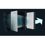 ROWENTA XD6220U0 Air purifier filter