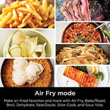 Ninja SF301 Speedi Rapid Cooker & Air Fryer, 6-Quart Capacity, 12-in-1 Functions to Steam, Bake, Roast, Sear