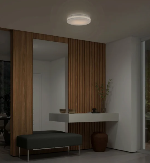 Artika, Hemisphere Flush Mount Light, Chrome