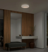 Artika, Hemisphere Flush Mount Light, Chrome